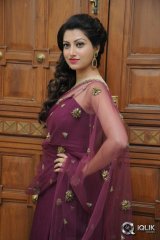 Hamsa Nandini at Bengal Tiger Movie Audio Launch